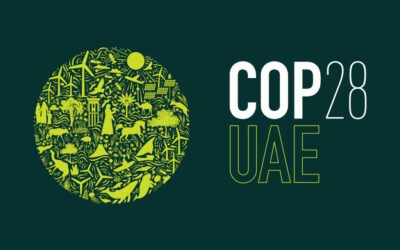 COP28